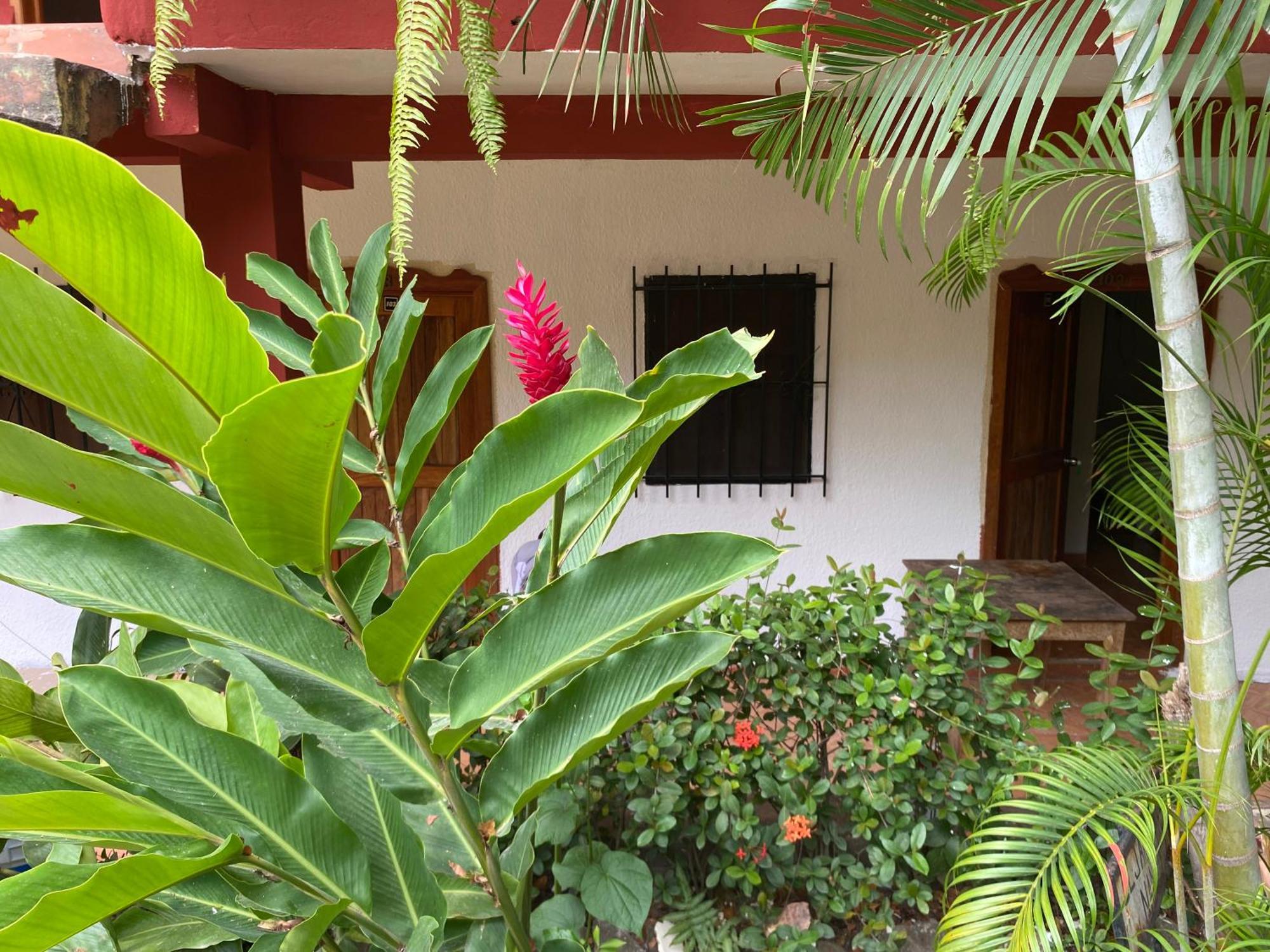 Hotel Posada La Canada Palenque Ngoại thất bức ảnh