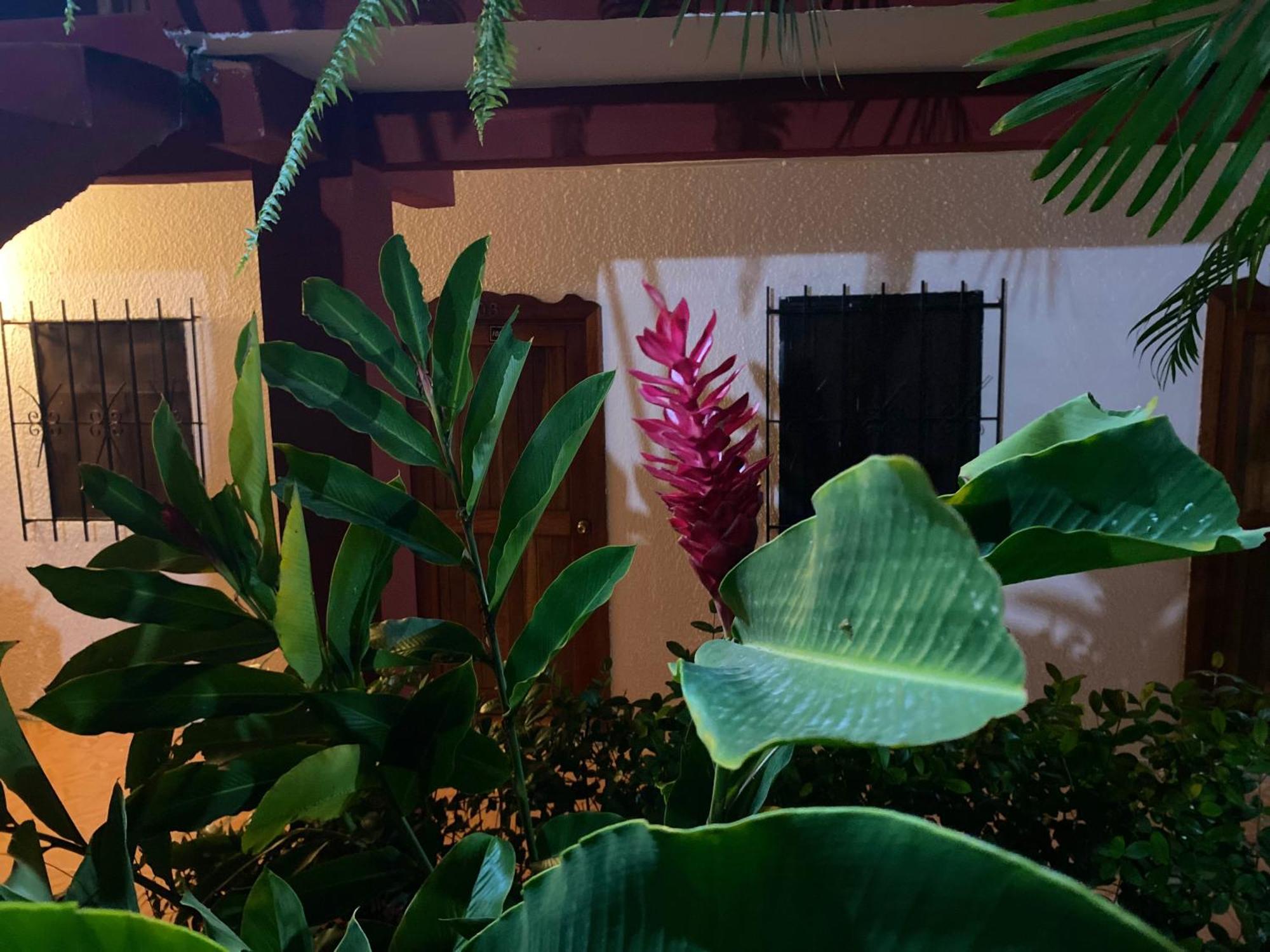 Hotel Posada La Canada Palenque Ngoại thất bức ảnh